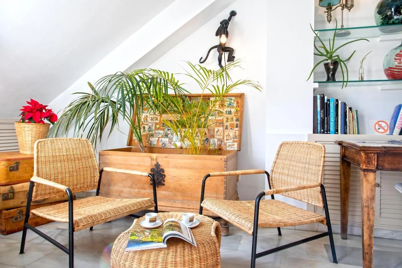 Ferienwohnung Atico Amplio Y Luminoso Soho Málaga Spanien